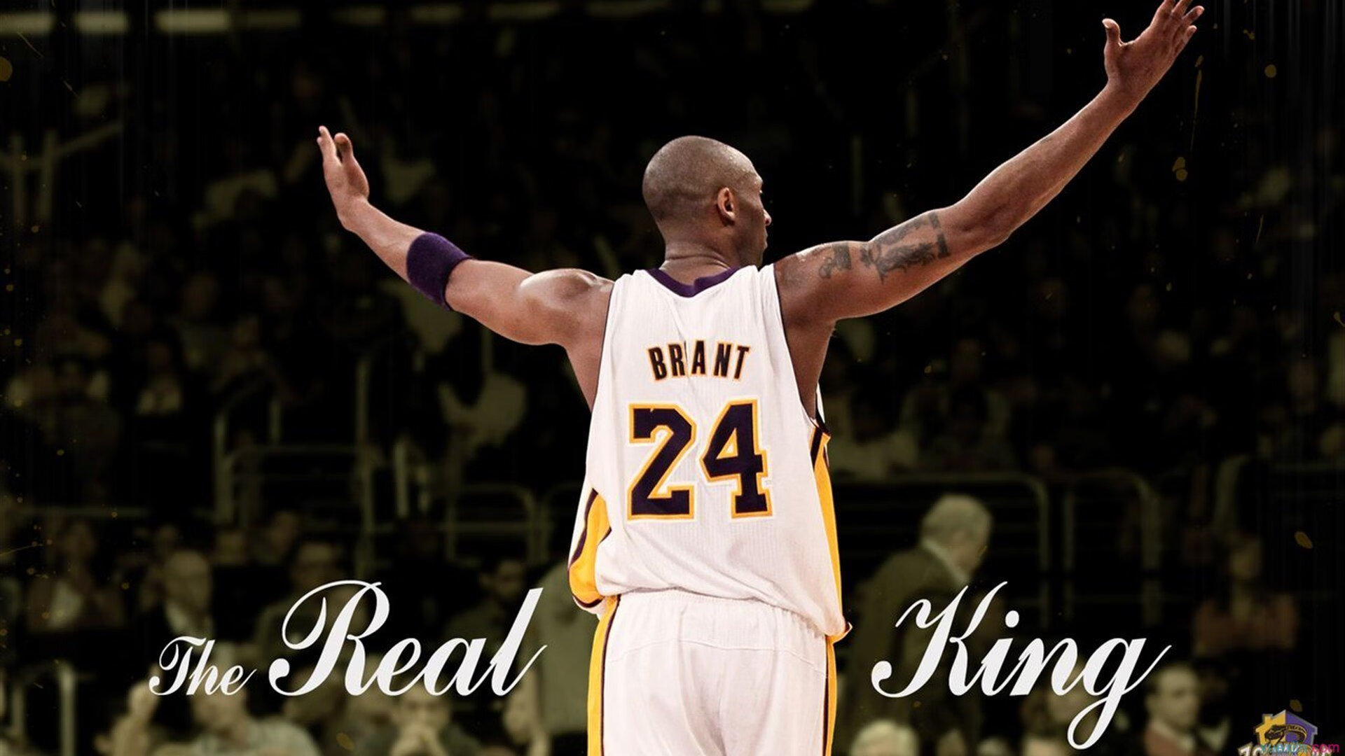 太阳狂胜浙江队，布伦森欧冠半决赛接管比赛，跨越东西方的篮球之光