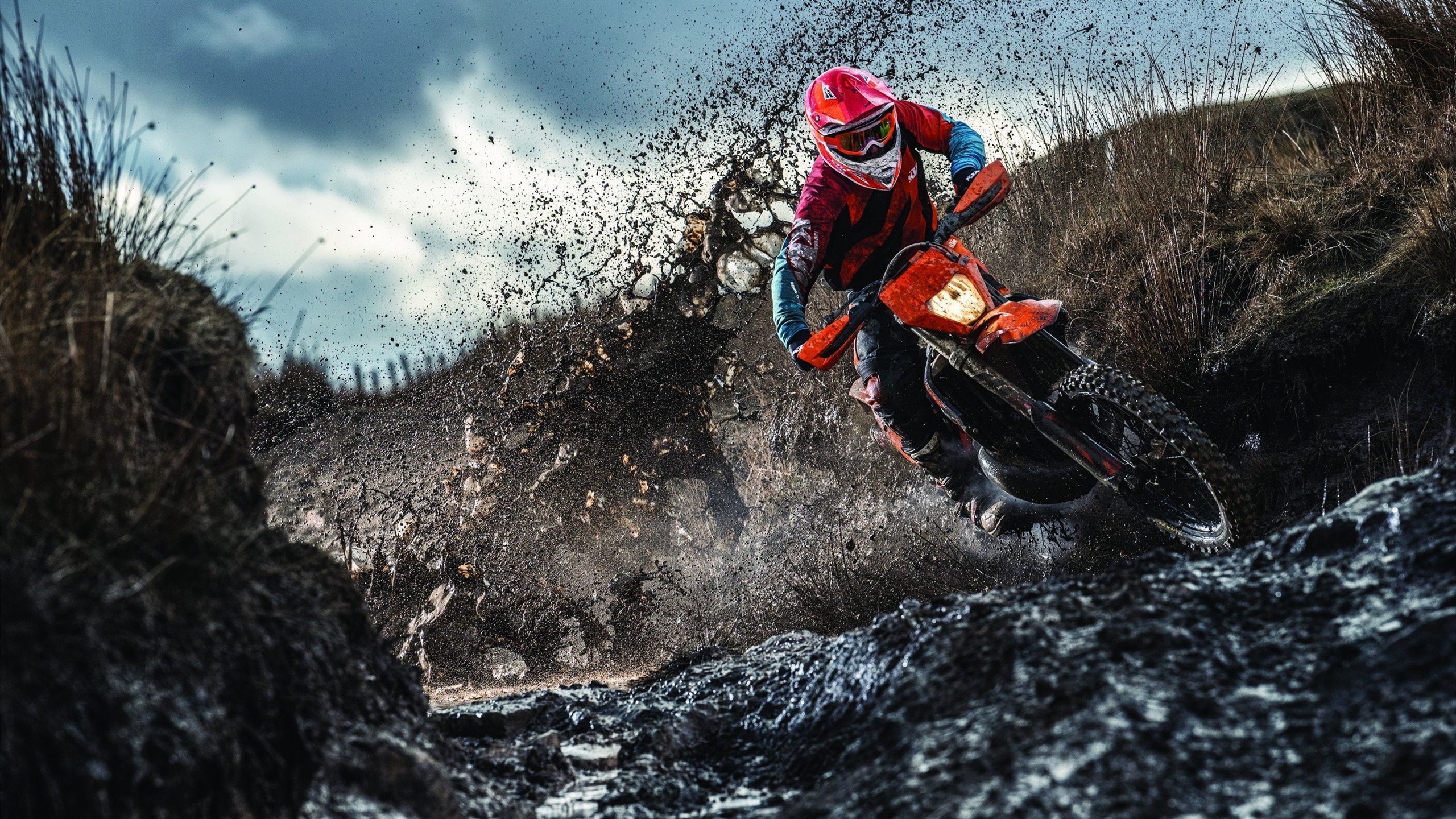 利拉德，当大场面先生遇见风城铁蹄，公牛如何碾碎步行者？